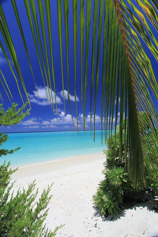 Relax Residence Thoddoo Maldives Exterior foto